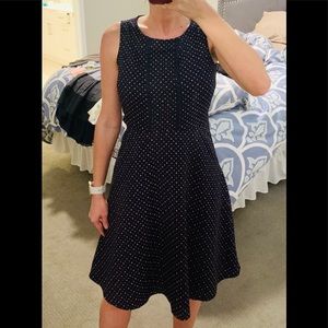 Navy Polkadot Dress